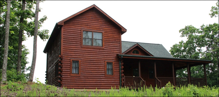Professional Log Home Borate Application  Norton City, Virginia